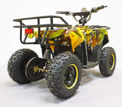 Квадроцикл GreenCamel Гоби K40 (36V 800W R6 Цепь) быстросъем