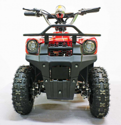 Квадроцикл GreenCamel Гоби K40 (36V 800W R6 Цепь) быстросъем