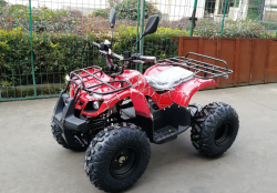 Квадроцикл GreenCamel Атакама T320 (48V20Ah 1000W R8)