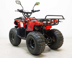Квадроцикл GreenCamel Атакама T120 (48V20Ah 800W R8 Цепь)