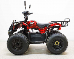 Квадроцикл GreenCamel Атакама T120 (48V20Ah 800W R8 Цепь)