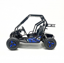 Багги GreenCamel Намиб T10 (60V20Ah 2000W R8 Дифф)
