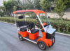 Гольфкар GreenCamel Сонора A3 ECO (3 seats 1000W R8)