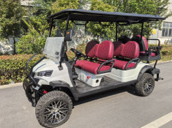 Гольфкар GreenCamel Сонора A42L (4+2, 4kW AC, R14 литые) LUX lifted