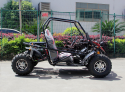 Багги GreenCamel Намиб A5000 (3999W R10 Дифф) no battery