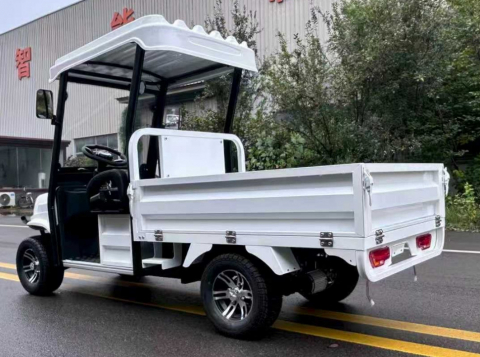 Гольфкар GreenCamel Сонора A2C 1500 (2+Cargo 1800W R10) пониженная Гольфкар GreenCamel Сонора A2C 1500 (2+Cargo 1800W R10) пониженная